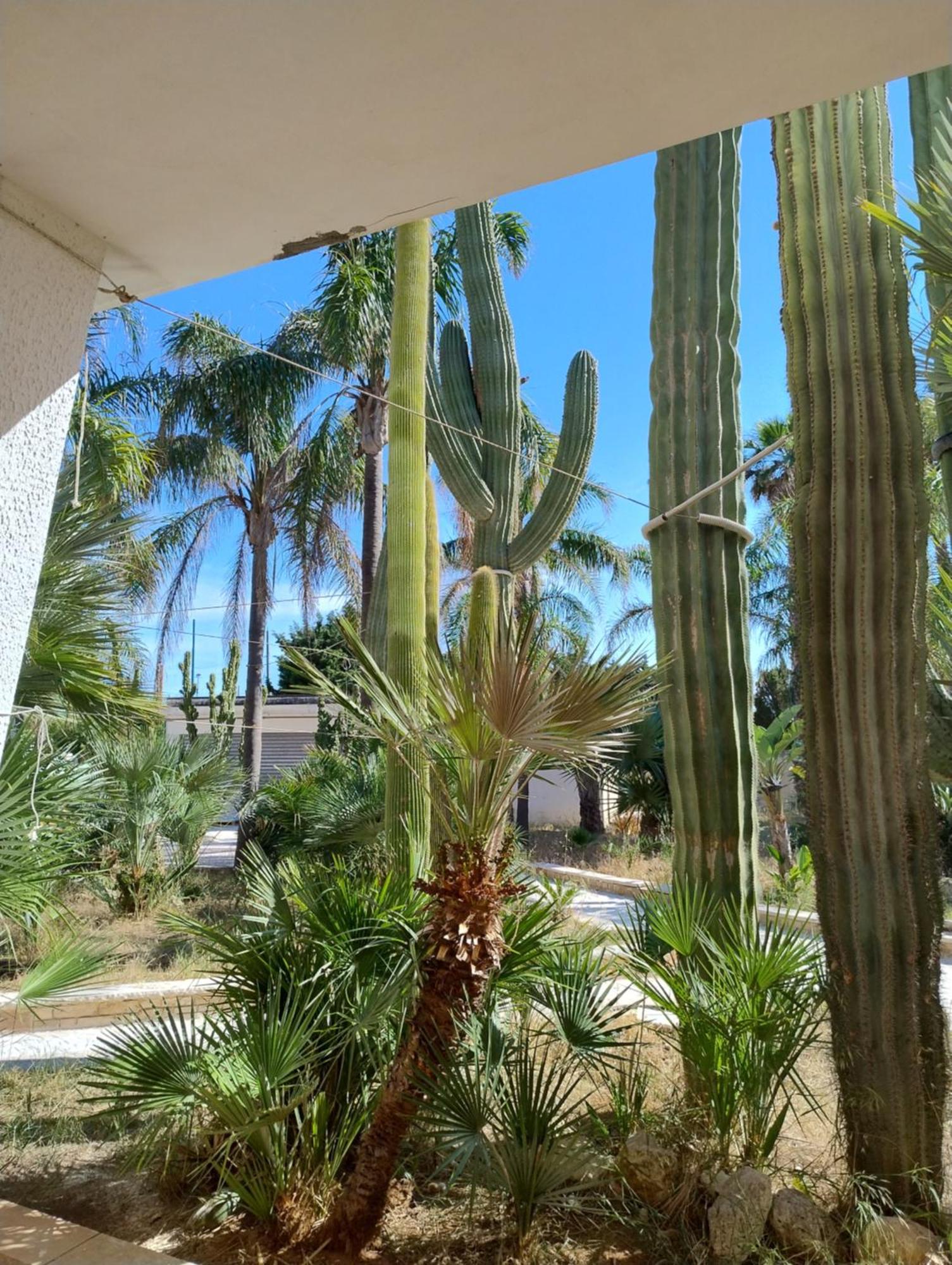 Blu Dea Apartment & Room Torre Lapillo Exterior photo